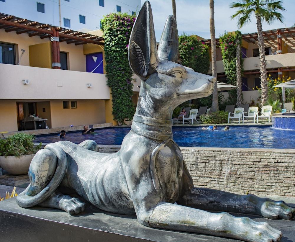 Hotel Los Patios كابو سان لوكاس المظهر الخارجي الصورة